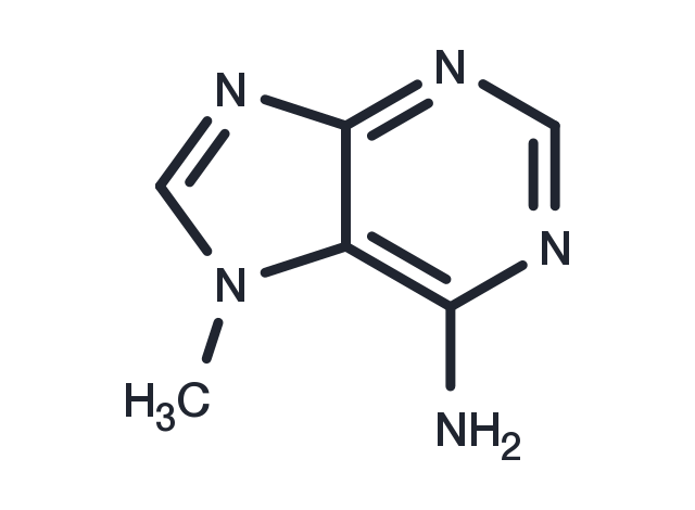 7-Methyladenine Chemical Structure