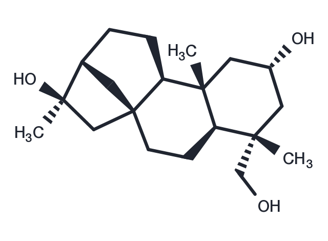 Pterokaurane R Chemical Structure