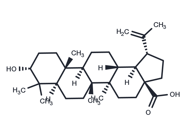 Epibetulinic acid Chemical Structure