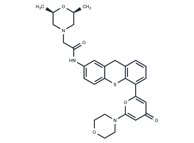 KU60019 Chemical Structure