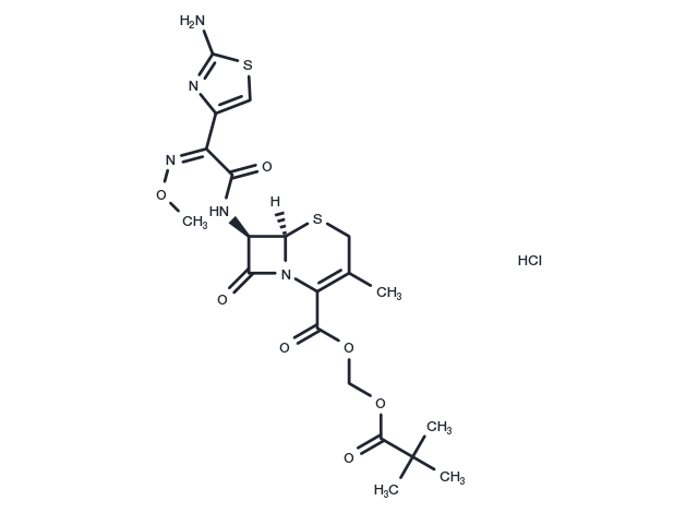 Cefetamet pivoxil hydrochloride Chemical Structure