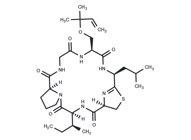Keenamide A Chemical Structure