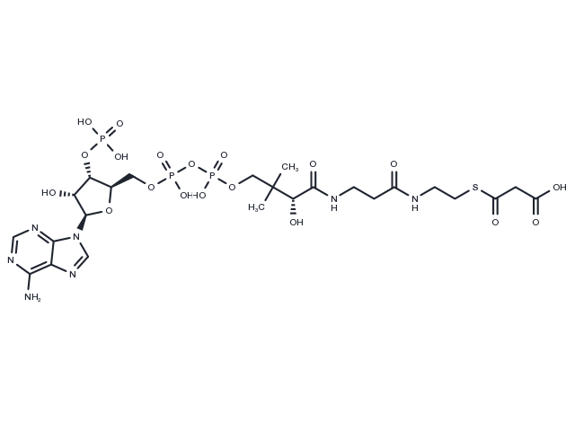 Malonyl CoA Chemical Structure