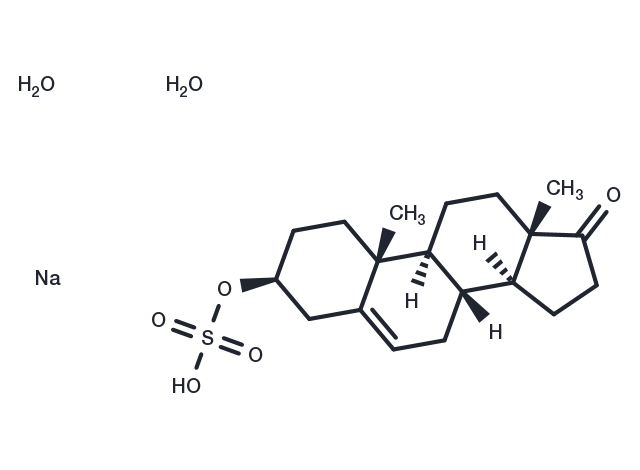 Prasterone sulfate sodium hydrate Chemical Structure