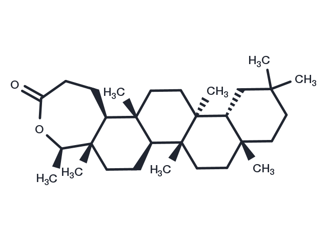 Friedelin 3,4-lactone Chemical Structure