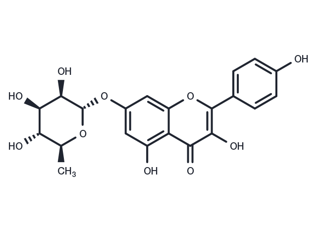 Kaempferol-7-O-rhamnoside