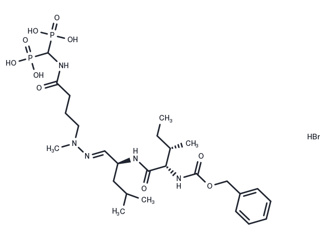 BT-GSI Chemical Structure