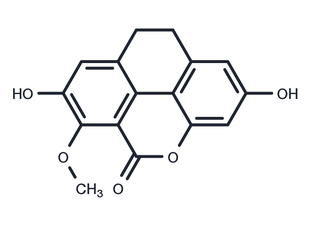 Isooxoflaccidin Chemical Structure