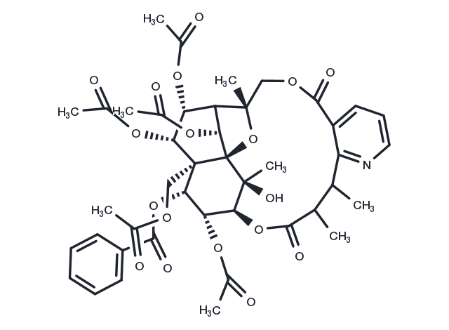 Mayteine Chemical Structure