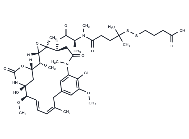 DBA-DM4 Chemical Structure