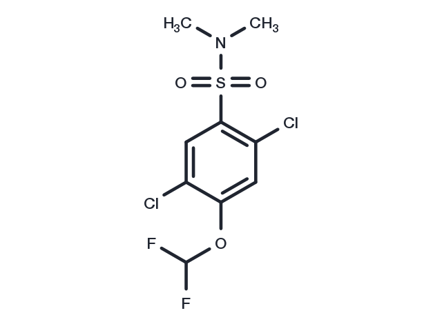 2,5-dichloro-4-(difluoromethoxy)-N,N-dimethylbenzene-1-sulfonamide