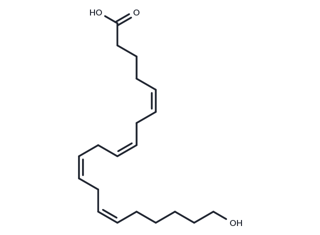 20-HETE Chemical Structure