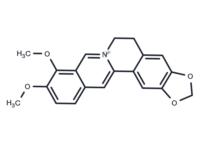 Berberine Chemical Structure
