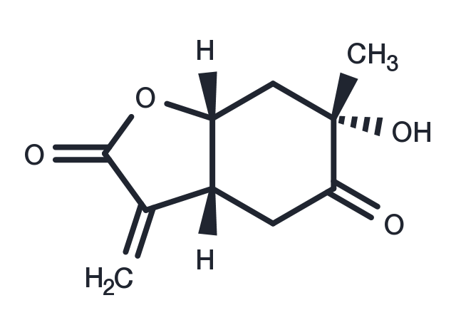 Paeonilactone B