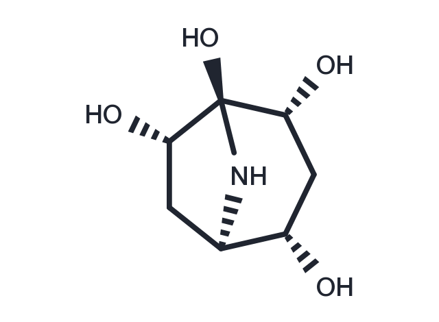 Calystegine B5 Chemical Structure