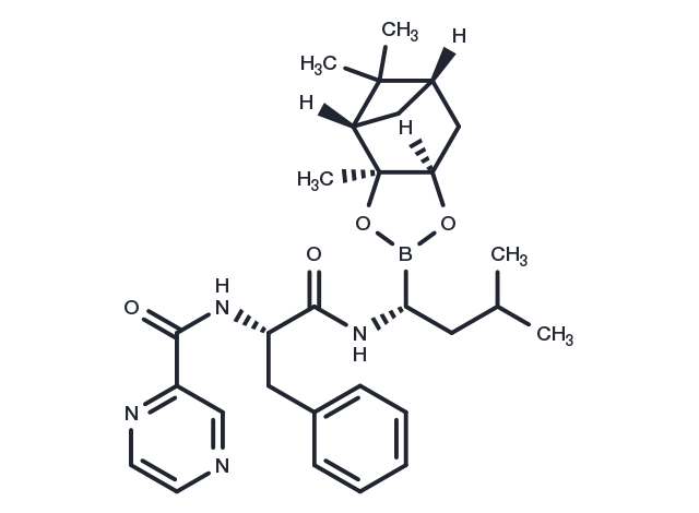 Bortezomib-pinanediol
