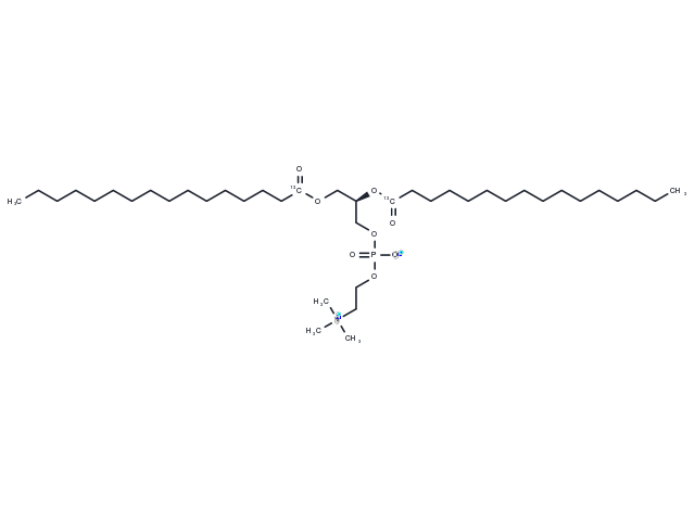1,2-Dipalmitoyl-13C-sn-glycero-3-PC Chemical Structure