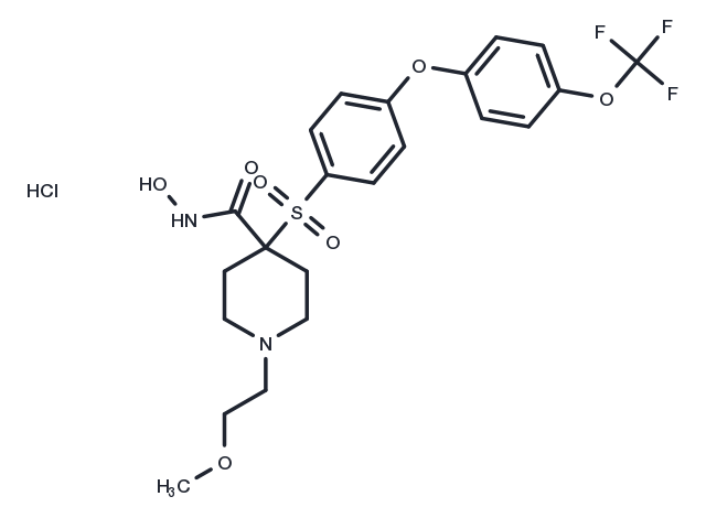SD-2590 HCl Chemical Structure
