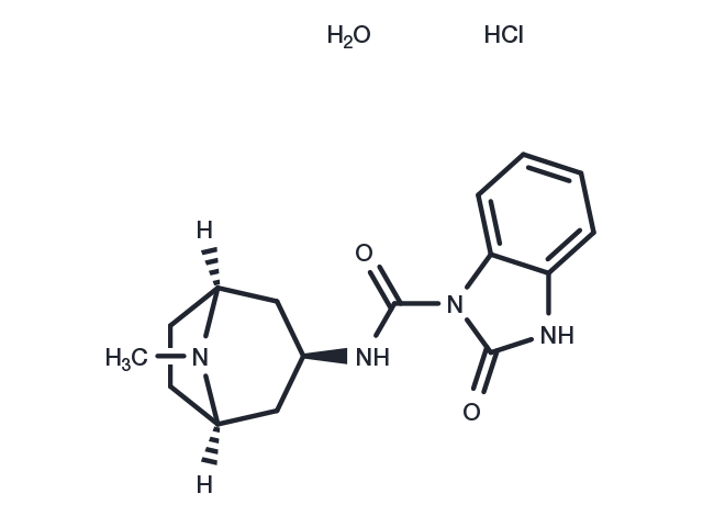 Itasetron hydrochloride monohydrate Chemical Structure