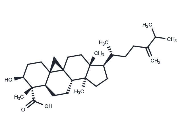 1-Dehydroxy-23-deoxojessic acid Chemical Structure