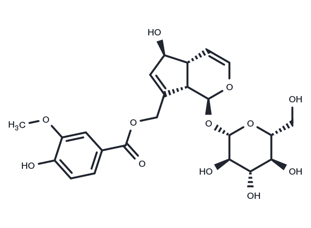 10-O-Vanilloylaucubin Chemical Structure