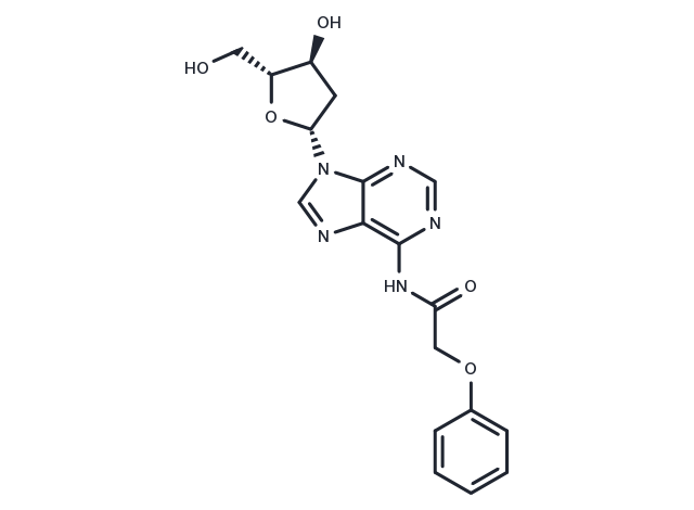 2’-Deoxy-N6-Phenoxyacetyladenosine Chemical Structure