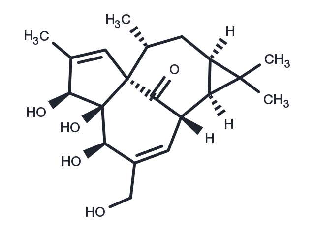 Ingenol Chemical Structure