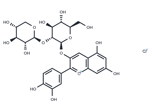 Cyanidin 3-sambubioside chloride Chemical Structure