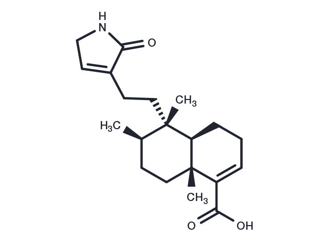 Echinophyllin C Chemical Structure