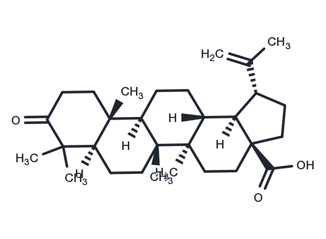 Betulonic acid