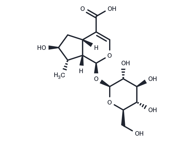 8-Epiloganic acid