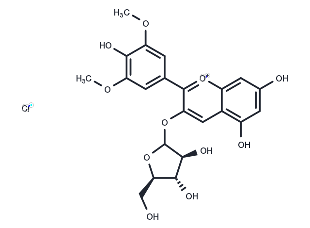 Malvidin-3-O-arabinoside chloride Chemical Structure