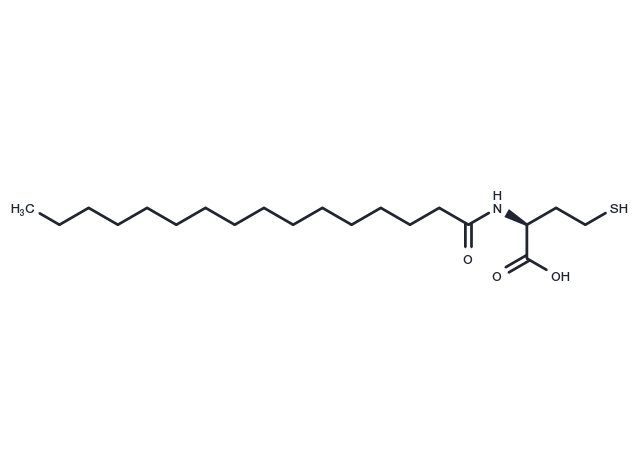Palmitoylhomocysteine Chemical Structure