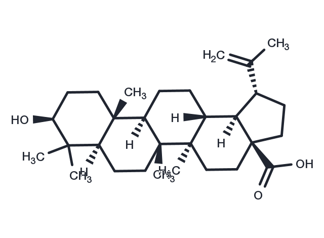 Betulinic acid Chemical Structure