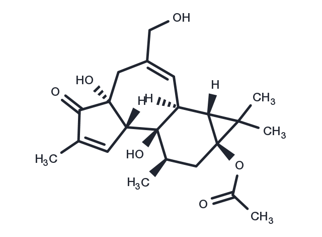 Prostratin Chemical Structure