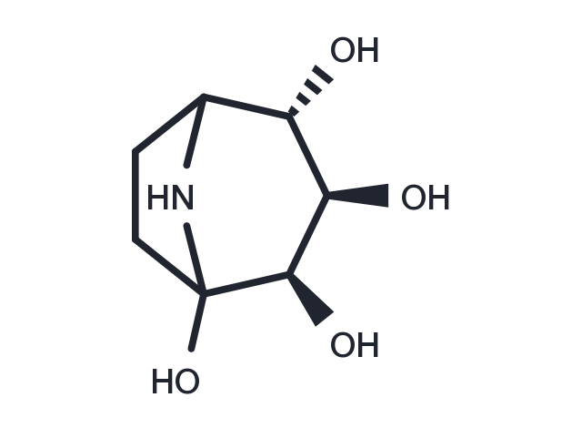 Calystegine B2 Chemical Structure