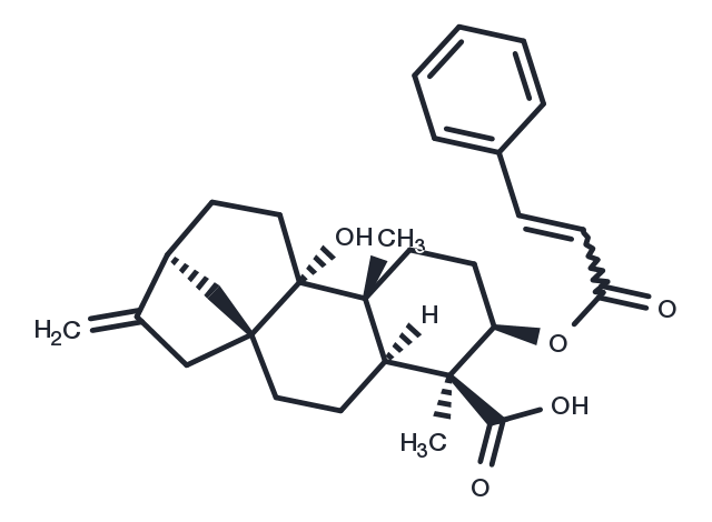3alpha-Cinnamoyloxypterokaurene L3 Chemical Structure