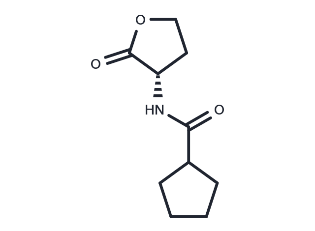 RhlR Agonist S4 Chemical Structure