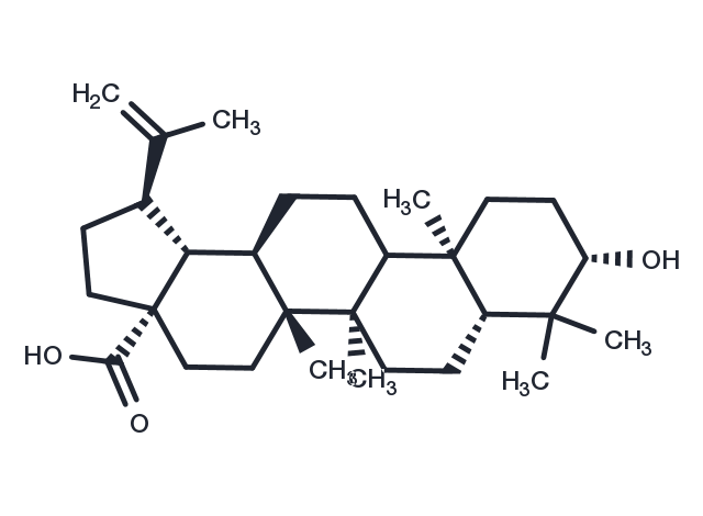 Betulinic acid (Mairin; Gratiolone; Platanol) Chemical Structure