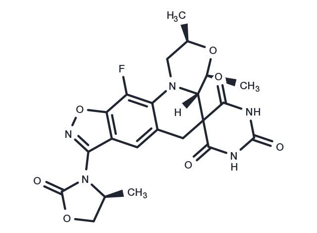 Zoliflodacin Chemical Structure