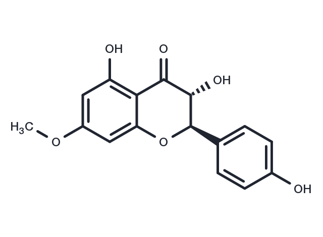 7-O-Methylaromadendrin Chemical Structure