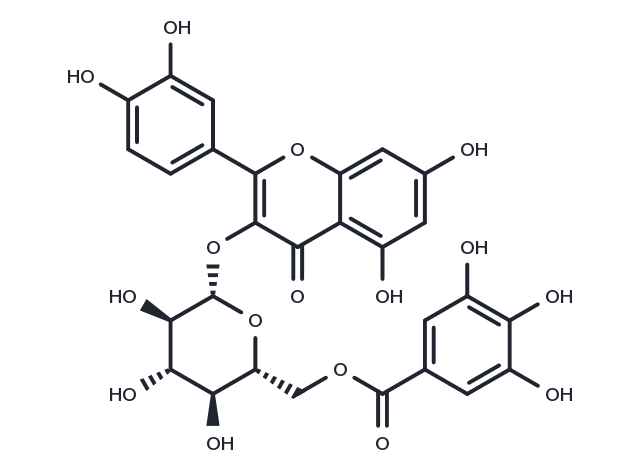 Quercetin 3-O-(6''-O-galloyl)-β-D-glucoside