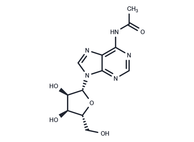 N6-Acetyl adenosine Chemical Structure