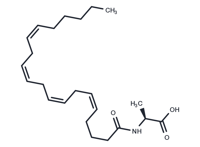 N-Arachidonoyl-L-Alanine Chemical Structure