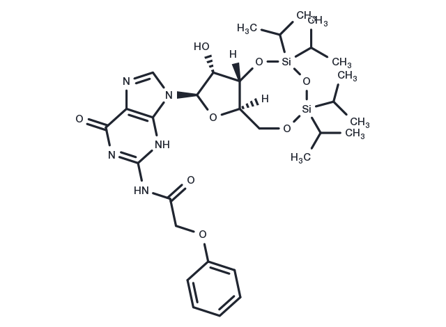 3’,5’-TIPS-N-PAc-Guanosine Chemical Structure