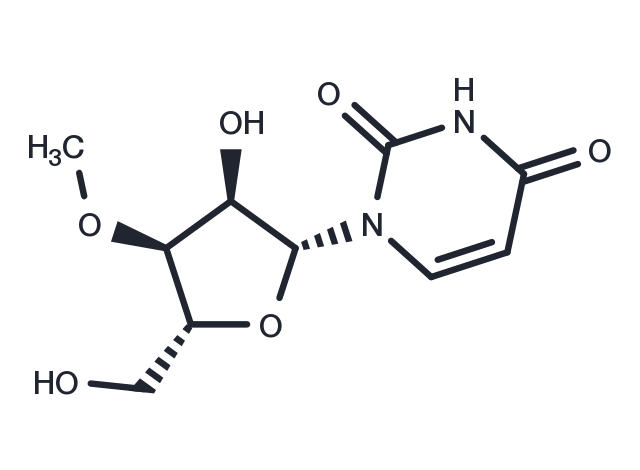 3’-O-Methyluridine Chemical Structure
