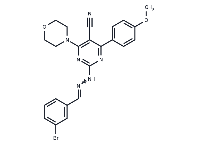 PI3K-IN-33 Chemical Structure