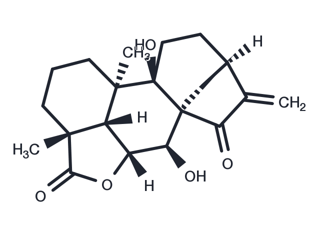 ent-7alpha,9-Dihydroxy-15-oxokaur-16-en-19,6bet-olide