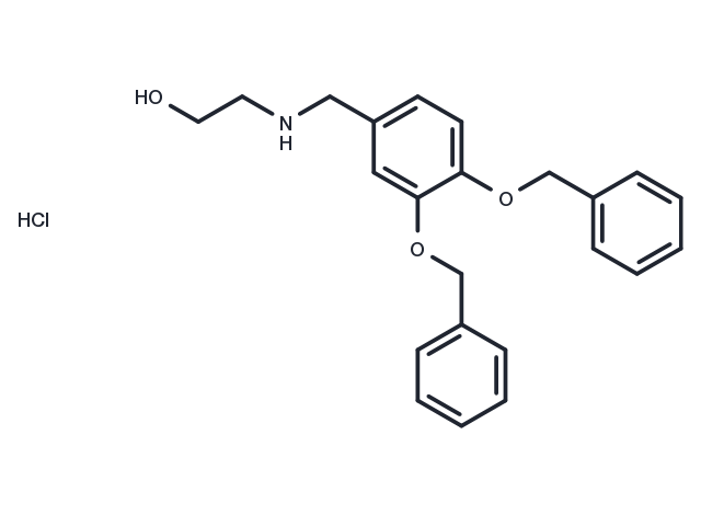 XIE62-1004 Chemical Structure