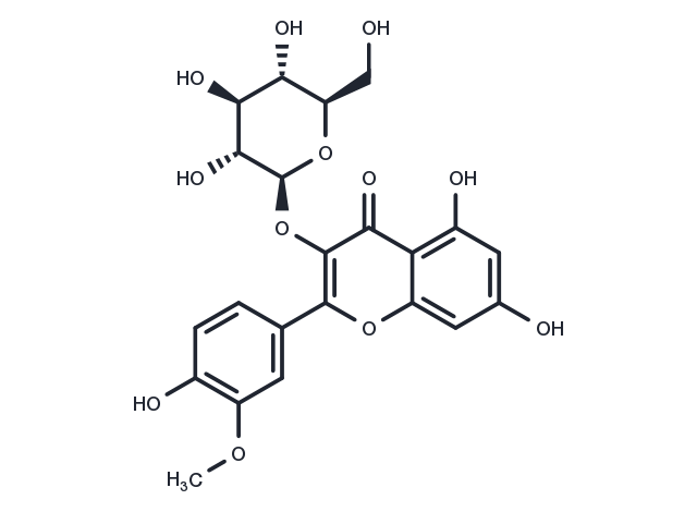 Isorhamnetin-3-O-glucoside